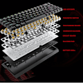 Miniatyrbillede 5 af 8: HE65 Rapid Trigger Spilkeyboard, 65% Magnetisk Switch Hall Effekt Keyboard Hot Swap Custom RGB Hyper-Hurtig Justerbar Aktivering Kabelforbundet