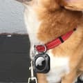 Pikkukuva 4 / 6: Tech-Protect Apple AirTag -pidike Rough Pro Musta 20