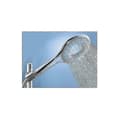 Rainshower Icon Handdusch Utdragbar Duschhuvud Krom