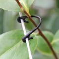 Miniatyrbild 5 av 10: 1/2/3/5/10 förpackningar Växtympningsklämmor Vines Bundet spänne Fast surrningskrok Flexibel klämma 10 PCS