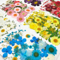 Miniatyrbild 6 av 10: Pressad blomma Handgjorda blandade torkade blommor Material för DIY Aromaterapi Ljus Gratulationskort Epoxi Craft Örhängen 3