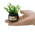 Miniatyrbild 10 av 10: 1 st Konstgjorda minikrukväxter Heminredning Lucky Fruit Bonsai Krukblommor Eucalyptus White