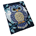 Miniatyrbild 1 av 4: Uggla Latch Hook Rug Kit Handgjord Mattframställningskit Latch Hook Kits för Vuxna ZD 183