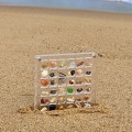 Miniatyrbild 4 av 9: Akryl Magnetisk Seashell Display Box Multi-purpose Craft Dekorativt ställ för ädelstenar