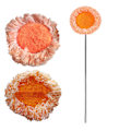 Miniatyrbild 7 av 7: 360° Roterbar Justerbar Rengöringsmopp Chenilleduk Stark vattenabsorption Återanvändbar mopp 1