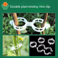Miniatyrbild 8 av 9: Säkrad växtklämma i plast Multifunktionell växthållarklämma för blommor Veggie White 200