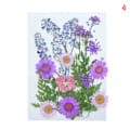 Miniatyrbild 10 av 10: 20-25 st/förpackning Riktiga torkade pressade blommor Bladväxt Blandade färgglada blomblad Kronblad För gör-det-själv-hantverk Make-up
