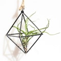 Miniatyrbild 9 av 10: Enkelt Mini Iron Flower Stand Suckulent Blomsterhylla Blomkruka För Desktop Balkong Dekoration Copper Red With Ring