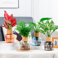 Miniatyrbild 3 av 8: Mode Hydroponic Plant Clear Desktop Plant Krukor Personliga växter Plantering Vas Dekor För Hem Sovrum Transparent Without Cover