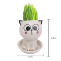 Miniatyrbild 7 av 7: Keramik Blomkruka Mini Kattformad Tecknad Söt krukväxt Skrivbordskruka Uttryck Katt Växtkruka Skrivbord Dekorera liten prydnad White