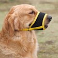 Miniatyrbild 2 av 11: Anti-bite Mesh Nosparti För Hund Justerbart Andas Hund Cover För Utomhus Grey L