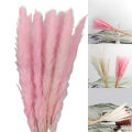 Miniatyrbild 2 av 10: 15 st naturlig torkad pampas gräsvass blomma gäng bröllop bukett dekorationer hem vardagsrum dekoration White
