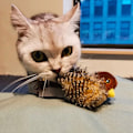 Miniatyrbild 4 av 11: Simulerad fågelkvitterleksak för katt Portabelt husdjur Interaktiva träningsleksaker för inomhuskatt