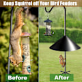 Miniatyrbild 5 av 11: Squirrel Baffle Birds Feeder Proof Guard skyddar hängande matare