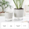 Miniatyrbild 9 av 9: Transparent bas plast självvattnande blomkruka Bra dränerande Återställbar blomkruka för växtsuckulenter Ice Crack