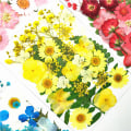 Miniatyrbild 3 av 10: Pressad blomma Handgjorda blandade torkade blommor Material för DIY Aromaterapi Ljus Gratulationskort Epoxi Craft Örhängen 1