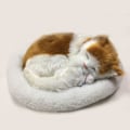 Miniatyrbild 6 av 10: Söt simulering sovande katt/hund plyschdocka med bo som andas fluffig katt/hund födelsedagsjulklapp till barn C