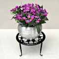 Miniatyrbild 6 av 10: Blomsterställ i metall av hög kvalitet stål Robust hållbart blomställ för vardagsrum Balkong inomhus skrivbord Black