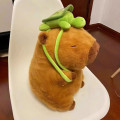 Miniatyrbild 5 av 8: Härlig liten Capybara Plyschdocka Lättvikts Supermjuk fylld leksak för barn Pojke Flicka Kvinnor Män Doll and Turtle 33cm