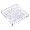 Miniatyrbild 1 av 9: Akryl Seashell Display Box med magneter Slitstark sjöstjärnor Trinket case för pärlspik 64 Grid