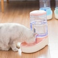 Miniatyrbild 10 av 10: Husdjur Katter Hundar Automatisk Waterer Vattenautomat 3,8 L Eller Mat Matare Husdjur Automatisk Matare Feeding Machine Green