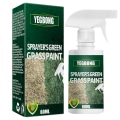 Miniatyrbild 4 av 10: Grönt gräsfärgspray Långvarig torvfärg Förbättra fläckvis vilande gulnande gräs för grästorv 60ML