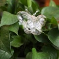 Miniatyrbild 1 av 10: Söt automatisk blombevattningsanordning Glas självbevattningsstakar Växtglasvattenbehållare Automatisk bevattning Vattenklot Butterfly