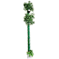Miniatyrbild 10 av 10: Pipeline Bamboo Forest Cover Simulering Bamboo Pipeline dekorativt cover 4 Inch5pcs