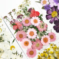 Miniatyrbild 4 av 10: Pressad blomma Handgjorda blandade torkade blommor Material för DIY Aromaterapi Ljus Gratulationskort Epoxi Craft Örhängen 8