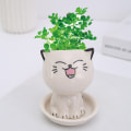 Miniatyrbild 6 av 7: Keramik Blomkruka Mini Kattformad Tecknad Söt krukväxt Skrivbordskruka Uttryck Katt Växtkruka Skrivbord Dekorera liten prydnad White