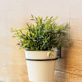Miniatyrbild 7 av 10: Set med 3 blomkrukhållare Ring Väggmonterad metall planteringskrokar Hopfällbar konsol för Homen Garden L