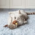 Miniatyrbild 6 av 11: Simulerad fågelkvitterleksak för katt Portabelt husdjur Interaktiva träningsleksaker för inomhuskatt