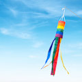 Miniatyrbild 6 av 8: Rainbow Windsock Flagga Utomhus innergård Screentryck Flagga Hållbar och intressant utomhusdekoration Oblique Clause