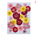 Miniatyrbild 1 av 10: 20-25 st/förpackning Riktiga torkade pressade blommor Bladväxt Blandade färgglada blomblad Kronblad För gör-det-själv-hantverk Make-up