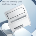 Miniatyrbild 6 av 11: LCD insulin litet kylskåp Exakt temperaturkontroll insulintermostat för utomhusbruk A