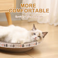 Miniatyrbild 8 av 9: Skålformad kattskrapbräda med fiskleksaker Roliga bettsäker träning Kattleksaker för kattungar Katt husdjur Globe Medium