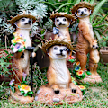 Miniatyrbild 2 av 10: Meerkat Trädgårdsdekoration Resin Hantverk Staty Realistiska djurfigurer för Home Garden Courtyard Lily Rake Mongoose