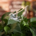 Miniatyrbild 5 av 10: Söt automatisk blombevattningsanordning Glas självbevattningsstakar Växtglasvattenbehållare Automatisk bevattning Vattenklot Snail B