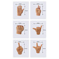 Miniatyrbild 9 av 9: Mini vikta händer för katttassar Bärbar handflatsformad kostym för katthundsdjur C 6PCS
