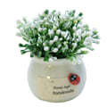Miniatyrbild 1 av 10: 1 st Konstgjorda minikrukväxter Heminredning Lucky Fruit Bonsai Krukblommor Rice Cracker White