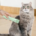 Miniatyrbillede 5 af 11: Multi In 1 Kæledyrspote Trimmer Genopladelig Vandtæt Kæledyrspleje Barbermaskine Digital Display Professionel Kæledyrsklipper Til Hunde Kat Bright And White Two In One