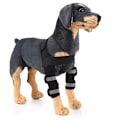 Miniatyrbild 4 av 10: Hundbensskydd för framben, kompressionsbandage, ger extra stöd för hasleden, justerbar, hundvård Black Second Generation M