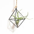Miniatyrbild 6 av 10: Enkelt Mini Iron Flower Stand Suckulent Blomsterhylla Blomkruka För Desktop Balkong Dekoration Gold With Ring
