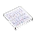 Miniatyrbild 1 av 9: Akryl Magnetisk Seashell Display Box Multi-purpose Craft Dekorativt ställ för ädelstenar