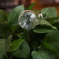 Miniatyrbild 1 av 10: Söt automatisk blombevattningsanordning Glas självbevattningsstakar Växtglasvattenbehållare Automatisk bevattning Vattenklot Snail B