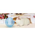 Miniatyrbild 4 av 10: Nya söta husdjursleksaker Hamsterboll Mini-Travboll Plast Hamsterövningsboll Husdjurleksaksboll Hamsterleksaker Slumpmässig färg Yellow L
