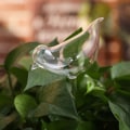 Miniatyrbild 9 av 10: Söt automatisk blombevattningsanordning Glas självbevattningsstakar Växtglasvattenbehållare Automatisk bevattning Vattenklot Butterfly