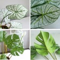 Miniatyrbild 9 av 10: Konstgjorda Palmer Växter Blad Faux Turtle Leaf Fake Tropical Large Palms Träd Blad För Hemträdgård Blommor Dekoration Small Straw Flower Basket-White