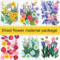 Miniatyrbild 4 av 10: 20-25 st/förpackning Riktiga torkade pressade blommor Bladväxt Blandade färgglada blomblad Kronblad För gör-det-själv-hantverk Make-up