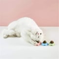 Miniatyrbild 7 av 10: Crab Catnip Ball Leksak Tandrengöringsverktyg Roterbar boll med lock Självhäftande kattleksak Pink
